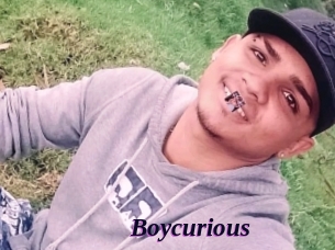 Boycurious