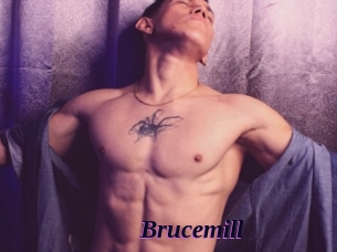 Brucemill