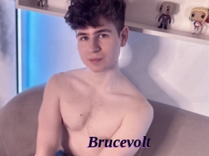 Brucevolt