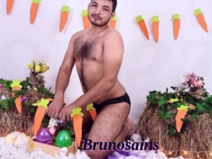 Brunosains