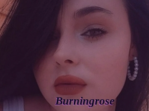 Burningrose