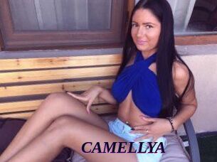 CAMELLYA_