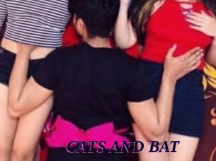 CATS_AND_BAT