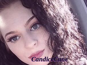 Candice_Cane