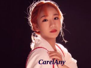 CarelAny