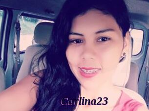 Carlina23