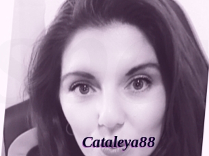 Cataleya88