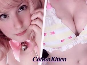 CottonKitten