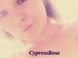 Cypress_Rose