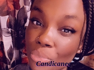 Candicanee