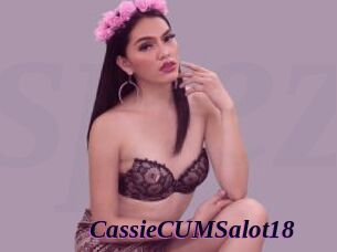 CassieCUMSalot18