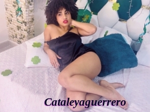 Cataleyaguerrero