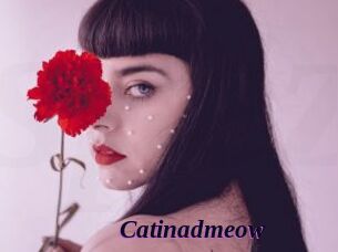 Catinadmeow