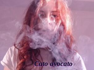 Cato_avocato
