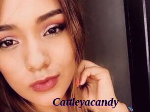 Cattleyacandy