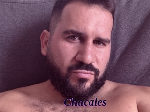 Chacales