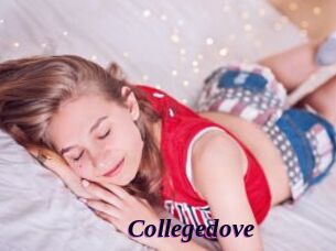 Collegedove