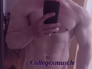 Collegexmuscle