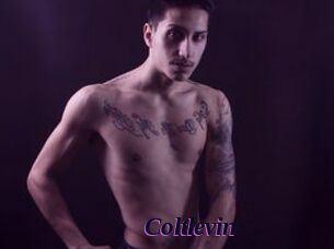 Coltlevin