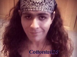 Cottontail28