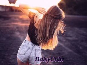 DaisyColle