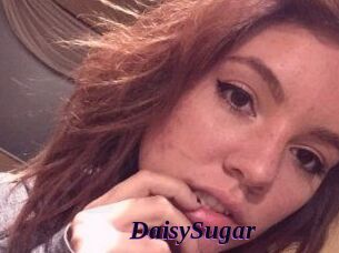 Daisy_Sugar