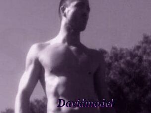 Davidmodel