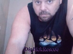 DigBickRoscoe