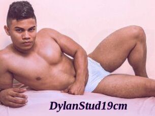 DylanStud19cm