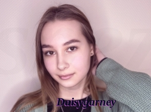 Daisygarney