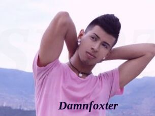 Damnfoxter