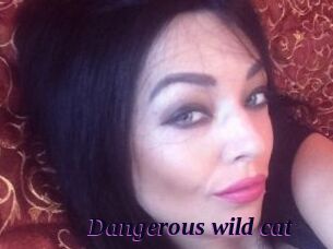 Dangerous_wild_cat