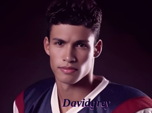 Davidgrey