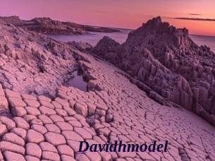 Davidhmodel