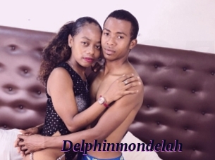 Delphinmondelah