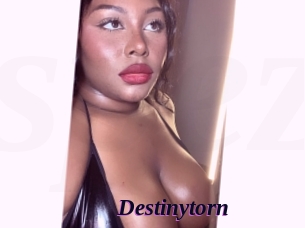 Destinytorn