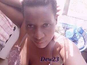 Dew23