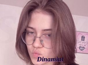 Dinamint