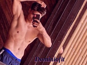 Dominiofit