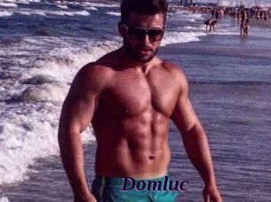 Domluc