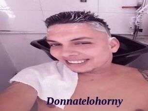 Donnatelohorny