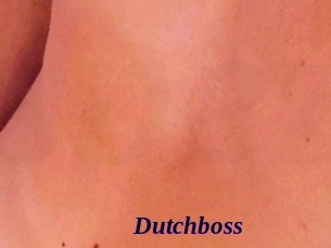 Dutchboss