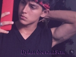 Dylan_brown15cm