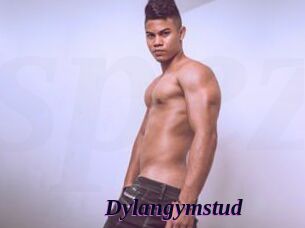 Dylangymstud