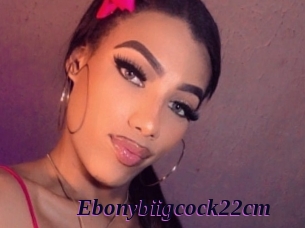 Ebonybiigcock22cm