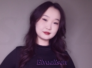 Elvaalison