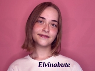 Elvinabute