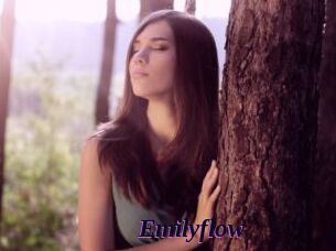 Emilyflow