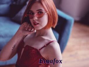 Evaafox