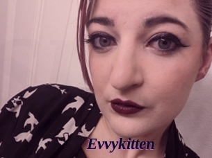 Evvykitten